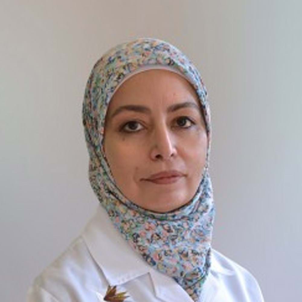 Dr. Iman Esmat Ibrahim